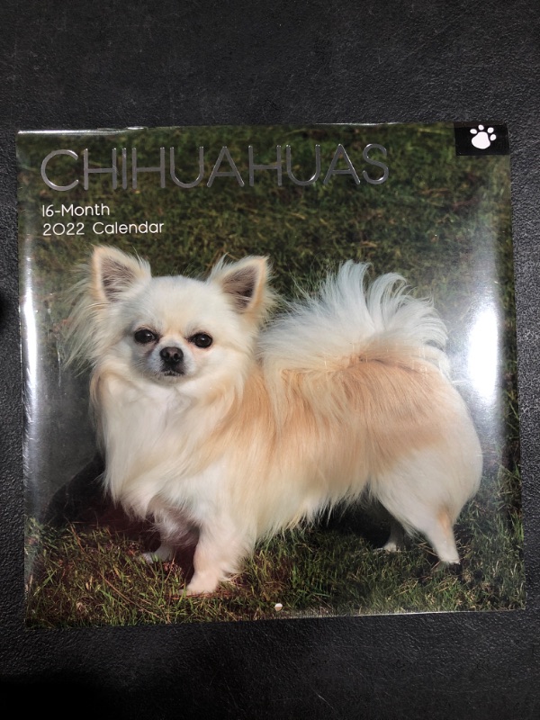Photo 3 of 2022 Square Wall Calendar - Chihuahuas, 12 x 12 Inch Monthly View, 16-Month, Animals - Paw Prints Theme, Includes 180 Reminder Stickers