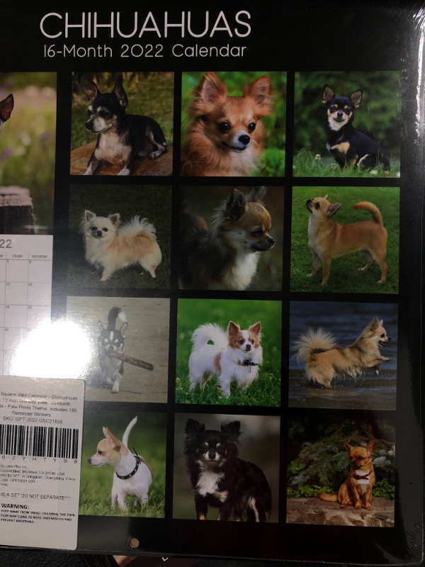 Photo 2 of 2022 Square Wall Calendar - Chihuahuas, 12 x 12 Inch Monthly View, 16-Month, Animals - Paw Prints Theme, Includes 180 Reminder Stickers