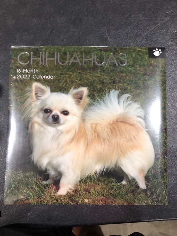 Photo 2 of 2022 Square Wall Calendar - Chihuahuas, 12 x 12 Inch Monthly View, 16-Month, Animals - Paw Prints Theme, Includes 180 Reminder Stickers