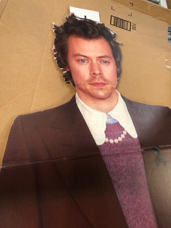 Photo 2 of Mosaic – Harry Styles Life Size Cardboard Cutout Standee | Great Party Prop 6'