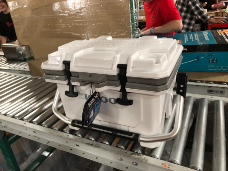 Photo 1 of Igloo 24 qt IMX Lockable Insulated Ice Chest Injection Molded Cooler White