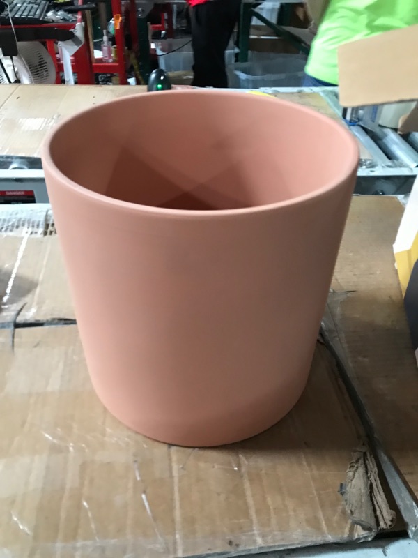 Photo 2 of *LIKE NEW PLANT NOT INCLUDED*Bees & Buds Small Terracotta Plant Pot 10 inch