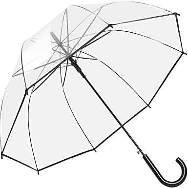 Photo 1 of Reginary  Clear Umbrella Wedding Style Stick Umbrellas 