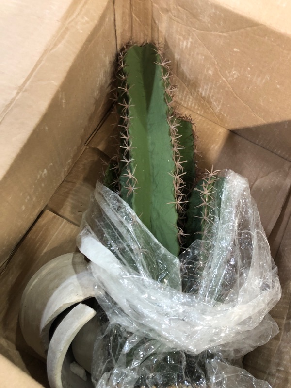 Photo 1 of * BROKEN POT * 
Artificial Cactus Fake Cacti 20" Faux Potted Cactus Plants for Home Office Store Décor Housewarming Gifts