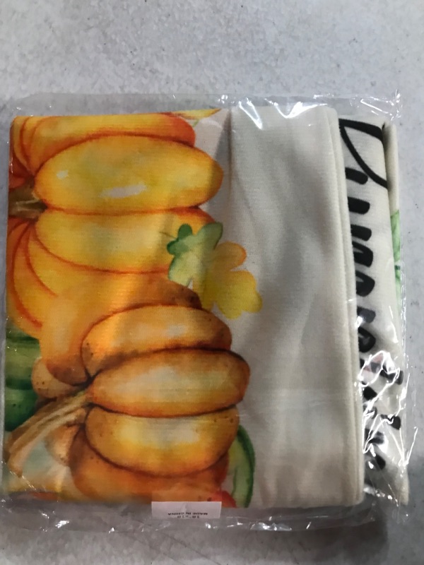 Photo 1 of  Pumpkins Thanksgiving Harvest Soft Square Pillow Case 18X18 INCHES