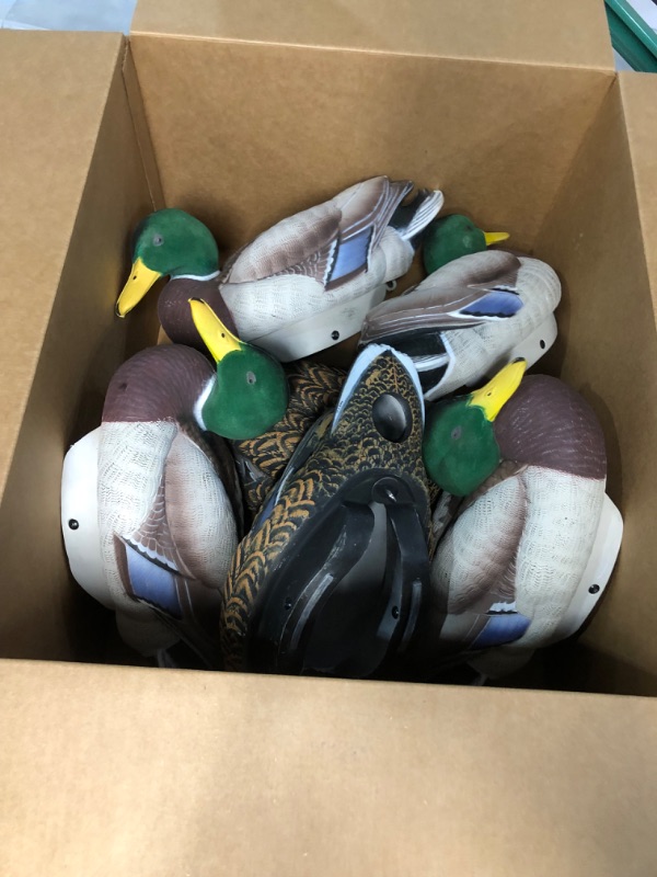 Photo 2 of *SEE NOTES Decoys HydroFoam Flocked Mallard