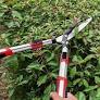 Photo 1 of 26 in Extendable Hedge Shear