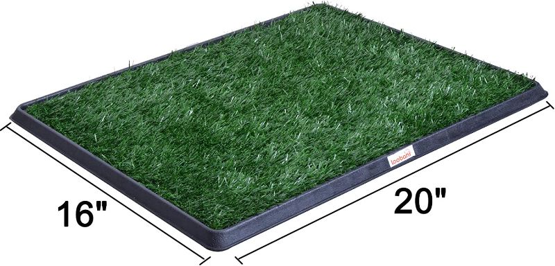 Photo 1 of *MISSING PIECES* LOOBANI Dog Indoor Potty Grass Pad with Tray 16 x 20