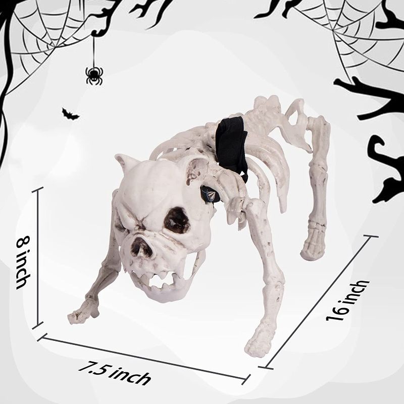 Photo 1 of  16" Dog Skeleton Halloween Decorations Bones