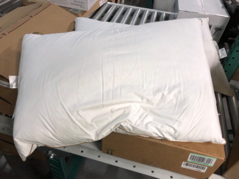 Photo 3 of ***USED*** OEKO-TEX Standard Pillows - 2 Pack