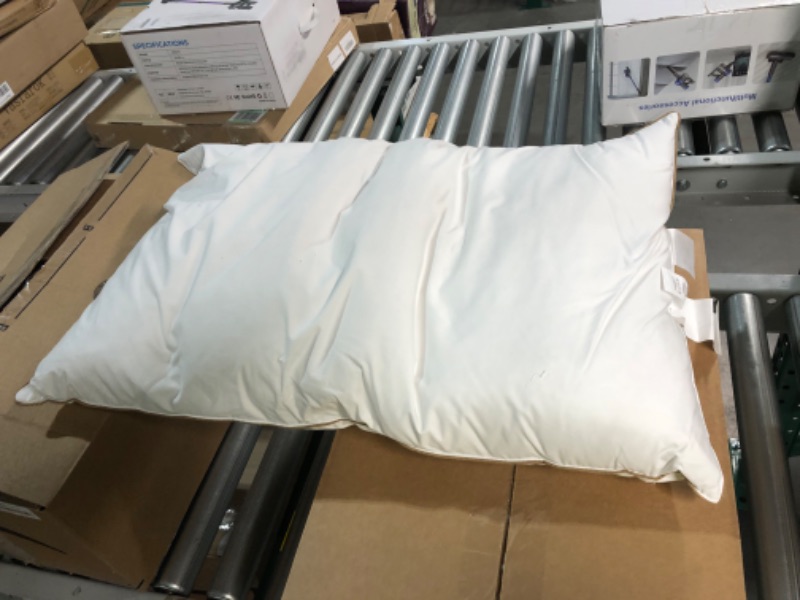 Photo 4 of ***USED*** OEKO-TEX Standard Pillows - 2 Pack