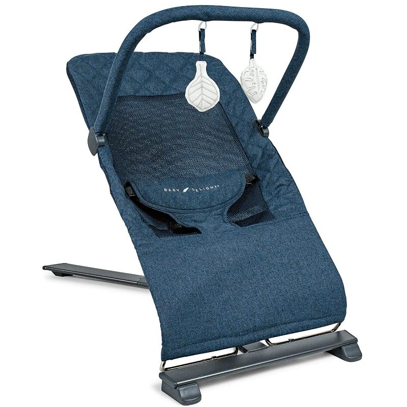 Photo 1 of Baby Delight Alpine Deluxe Portable Bouncer, Infant, 0 – 6 Months,