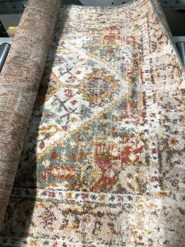 Photo 3 of [USED] nuLOOM Justine Vintage Medallion Area Rug, 4' x 6', Beige