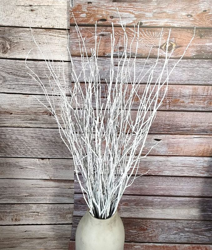 Photo 1 of *USED BUT LIKE NEW* Decorative Birch Branches Decoration,Birch Stems