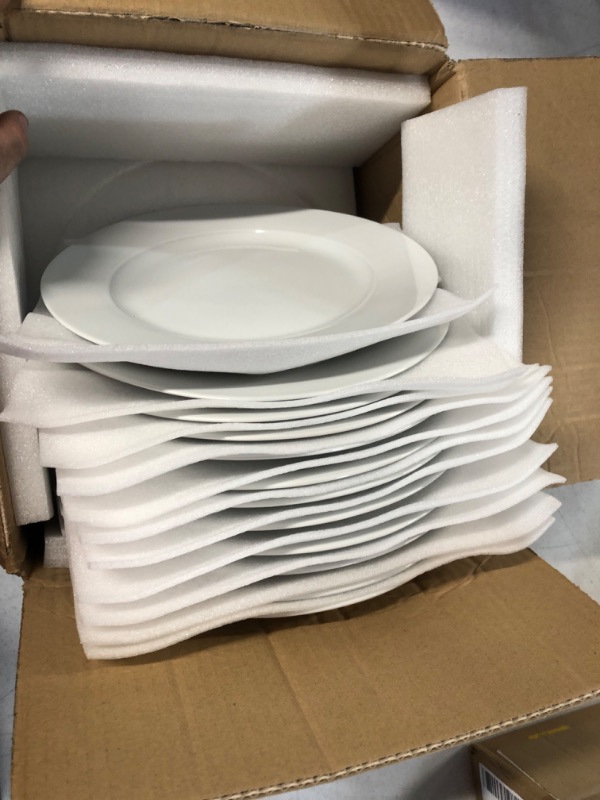 Photo 2 of 10 Strawberry Street 10.5" Catering Round Dinner Plate, Set of 12 Round (Dinner Plate)