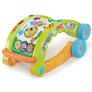 Photo 1 of **USED** 1 FRONT WHEELER HARD TIME ROLLING** LEARN & PLAY™ 3-IN-1 ACTIVITY WALKER™
