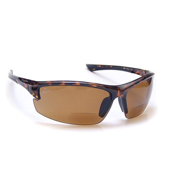 Photo 1 of -USED- Polarized Premium Sunglasses, Tortoise & Brown