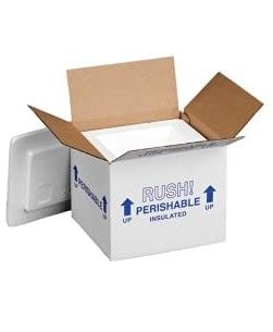 Photo 1 of  Thermo Chill Insulated Carton with Foam Shipper