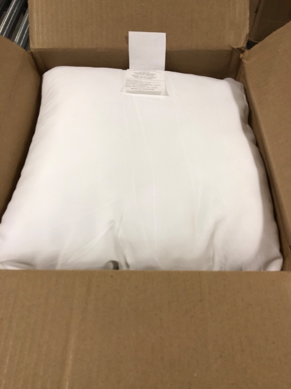 Photo 1 of 16in X 16in 2 Set of Pillows 