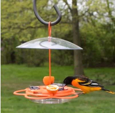 Photo 1 of ** USED READ NOTES ** All-In-One Oriole Buffet (Model# OFP1)
