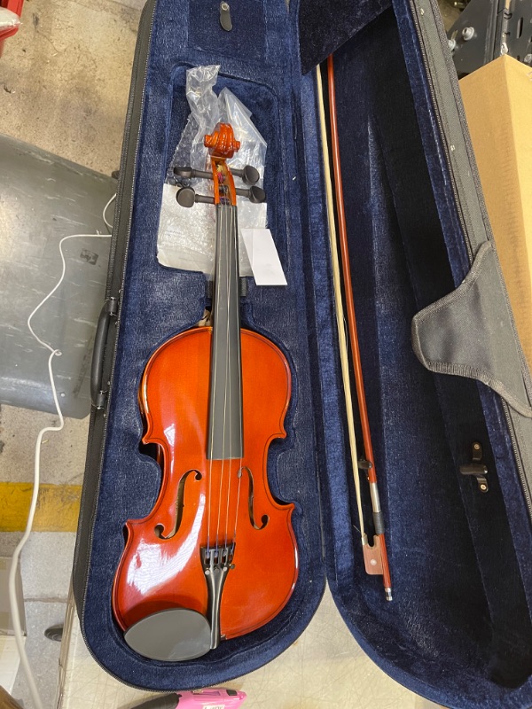 Photo 2 of Apollo 15-inch Solidwood Viola with Ebony Fittings, Complete with case and D'Addario Prelude Strings