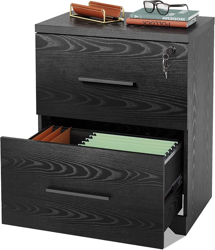 Photo 1 of DEVAISE 2-Drawer Wood Lateral File Cabinet with Lock for Office Home, Black