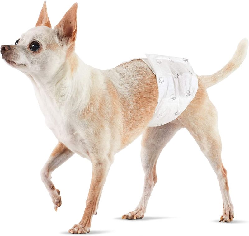 Photo 1 of Amazon Basics Male Dog Wrap, Disposable Diapers, X-Small - Pack of 50
