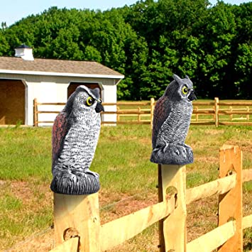 Photo 1 of 2 Pack Plastic Owl,Garden Owl Scarecrows for Bird,Fake Owl Statue