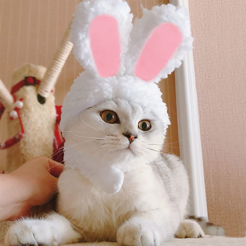 Photo 1 of 2Pack Cat Pet Costume Pet Headdress New Year Pet Hat Kitten Puppy Birthday Cosplay Hat Cat and Dog Dress Up Headdress Holiday Accessory,White Rabbit, as description