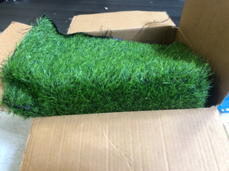 Photo 2 of Artificial Grass