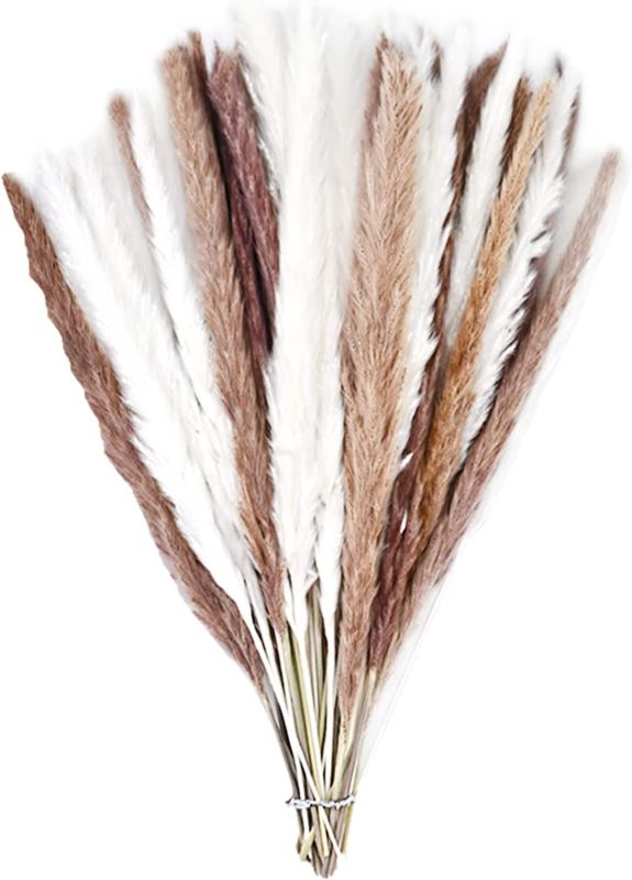 Photo 1 of 60 Pack Pampas Grass Boho Decorations, 17.3 inch/44cm Natural Dried Pampas Grass Branches for Boho Party Decor Home Kitchen Garden Photographing Flower Arrangement Vase Decor
