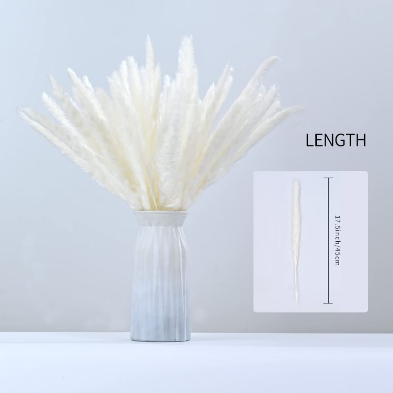 Photo 2 of 60 Pack Pampas Grass Boho Decorations, 17.3 inch/44cm Natural Dried Pampas Grass Branches for Boho Party Decor Home Kitchen Garden Photographing Flower Arrangement Vase Decor