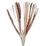 Photo 1 of 60 Pack Pampas Grass Boho Decorations, 17.3 inch/44cm Natural Dried Pampas Grass Branches for Boho Party Decor Home Kitchen Garden Photographing Flower Arrangement Vase Decor
