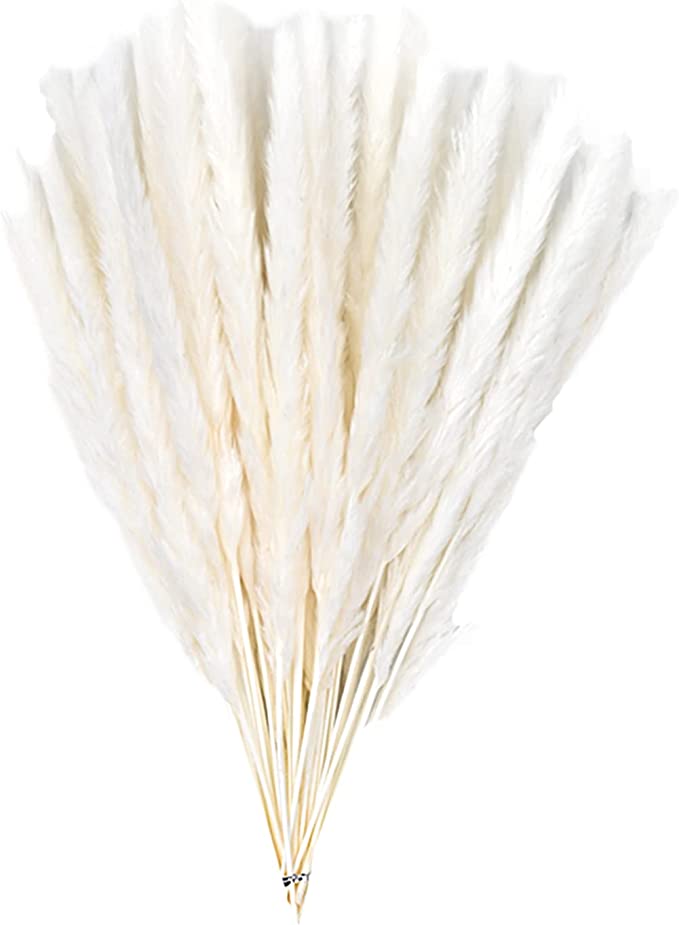 Photo 1 of 60 Pack Pampas Grass Boho Decorations, 17.3 inch/44cm Natural Dried Pampas Grass Branches for Boho Party Decor Home Kitchen Garden Photographing Flower Arrangement Vase Decor
