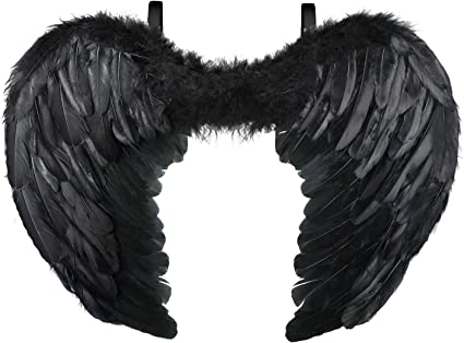 Photo 1 of Angel Wings