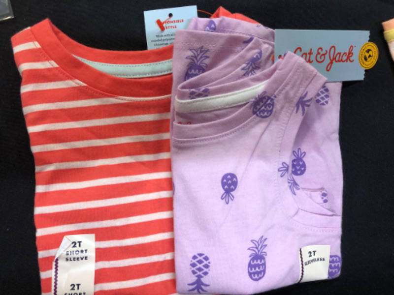 Photo 1 of 2PACK Girls Cat & Jack toddler shirts--different prints--SIZE 2T