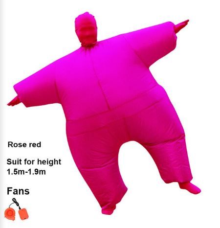 Photo 1 of Adult Masked Inflatable Clothing Rose Red