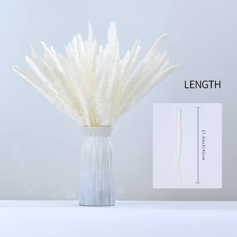 Photo 2 of 60 Pack Pampas Grass Boho Decorations, 17.3 inch/44cm Natural Dried Pampas Grass Branches for Boho Party Decor Home Kitchen Garden Photographing Flower Arrangement Vase Decor
