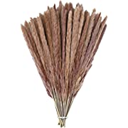 Photo 1 of 60 Pack Pampas Grass Boho Decorations, 17.3 inch/44cm 