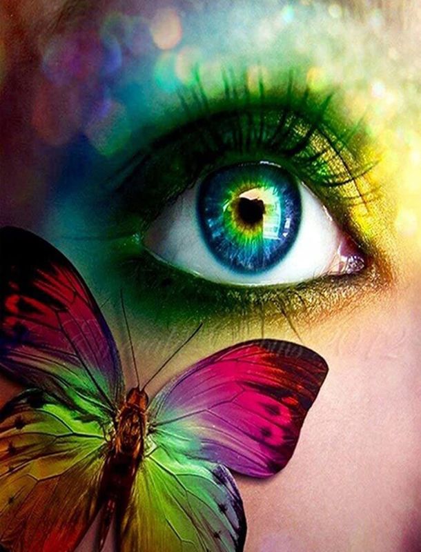 Photo 1 of Diamond Painting Kits for Adults, Paint with 5D Crystal Diamonds Art with Accessories Tools Canvas 11.8 x 15.7 Inch (Butterfly and Eye)
