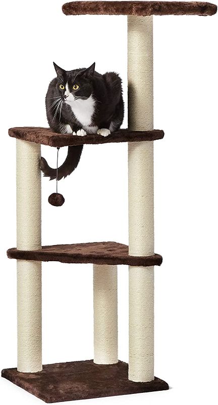 Photo 1 of Amazon Basics Cat Tree with Platform, Scratching Posts, X-Large Size
