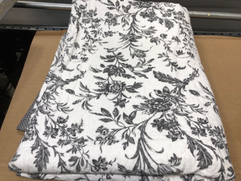 Photo 2 of 1 pcs Laura Ashley Amberly Quilt Twin 