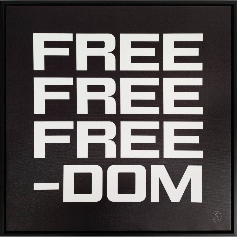 Photo 1 of 20 X 20 Freedom Framed Wall Canvas - Tr © Seals
