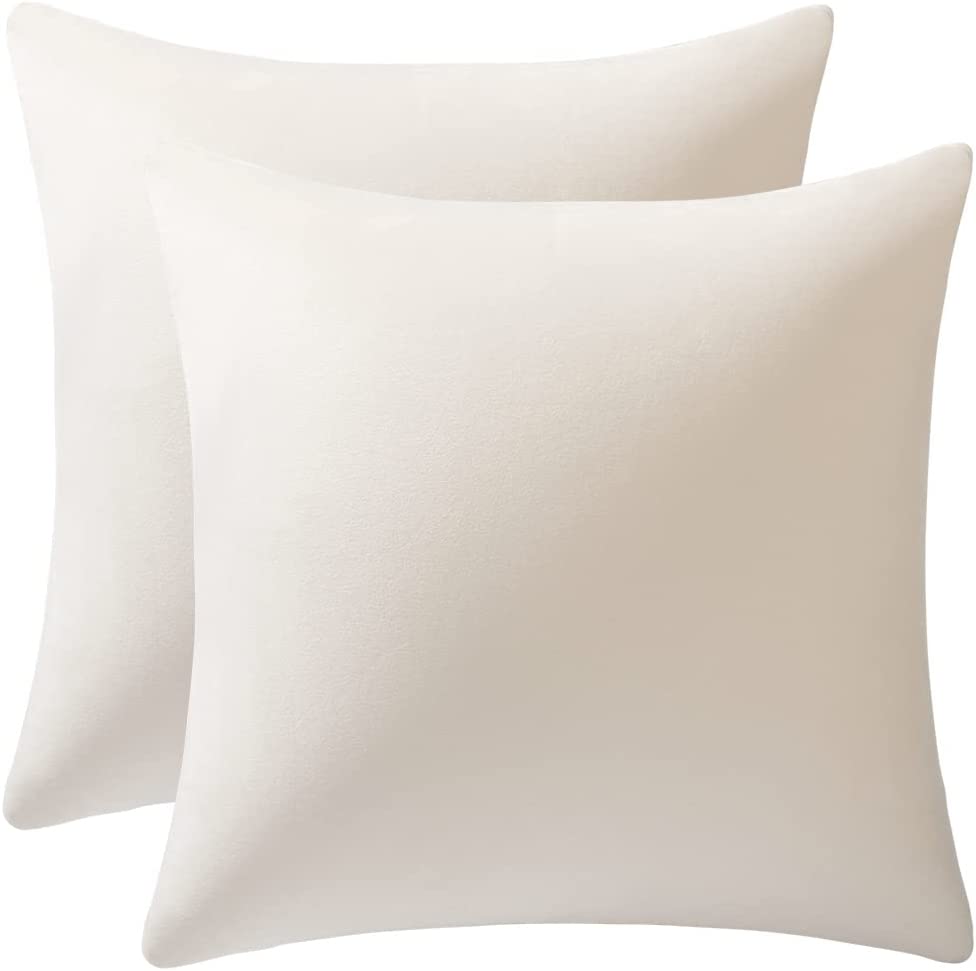 Photo 1 of Acanva pillows--set of 2