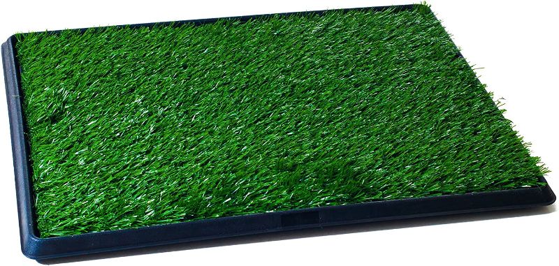 Photo 1 of  Artificial Grass Puppy Pad for Dogs and Small Pets Collection