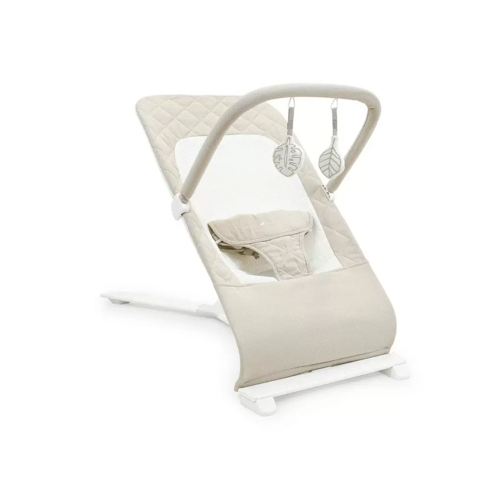 Photo 1 of Baby Delight Alpine Deluxe Portable Bouncer - Organic Oat
