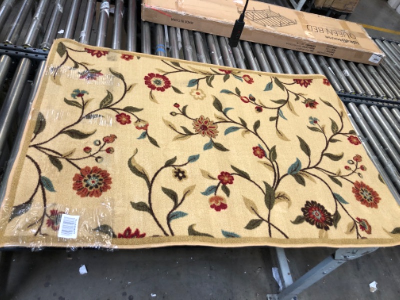 Photo 1 of 39"x58" floral rug **slightly dirty 