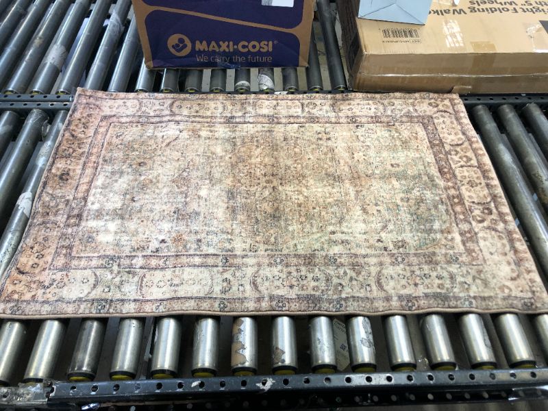Photo 1 of Spring Valley Home Robbie ROB-01 Area Rug