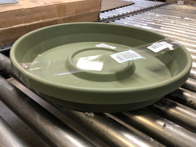 Photo 2 of Bloem Terra Plant Saucer Tray for Planters 17-24" Living Green