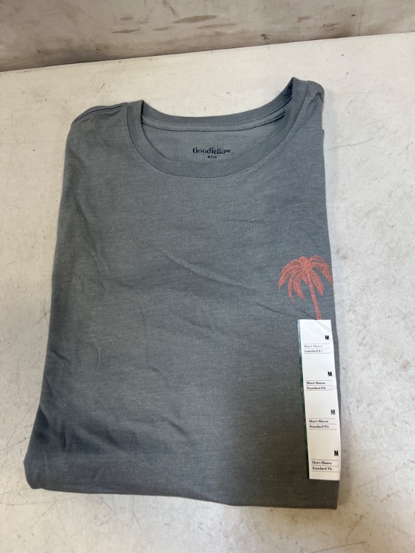 Photo 2 of En's Short Sleeve Graphic T-Shirt - Goodfellow & Co™ M